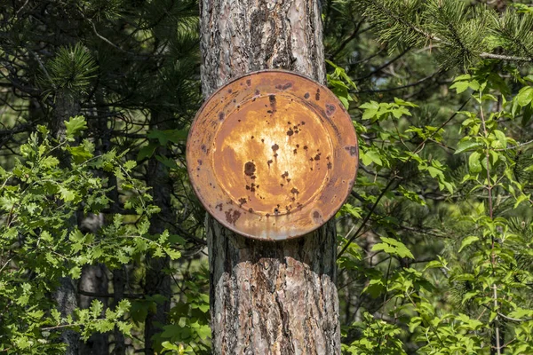 a rusty old sign on a tree in the forest