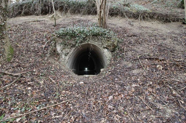 inside an old Bunker from the world war