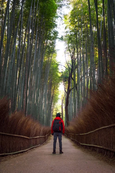 Homem Viajante Frente Floresta Bambu Com Mochila Fotógrafa — Fotografia de Stock