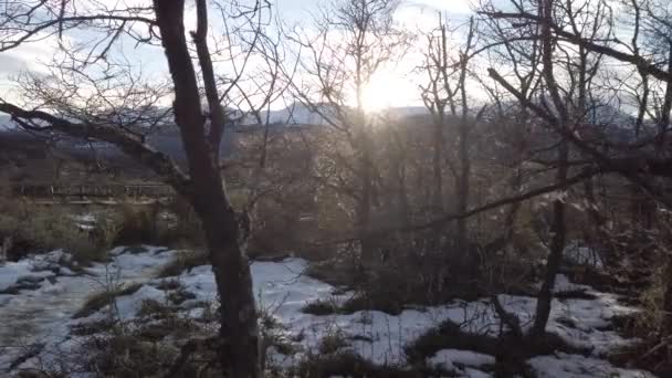 Promienie słońca przechodzące przez zimowe drzewa w Parku Narodowym Tierra del fuego — Wideo stockowe