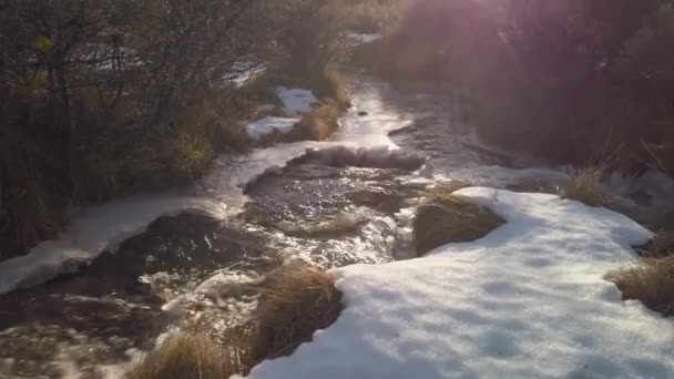 Tilt up shot of sun beams lighting a brook on mountain landscape — 비디오