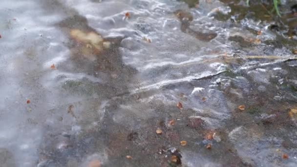 El agua fluye por debajo de su superficie cubierta de hielo en las temperaturas de congelación . — Vídeo de stock