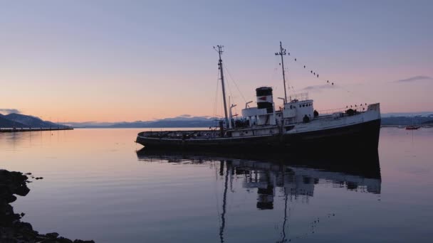 Cezalı römorkör gemisi Hms Justice gün batımında Beagle Bay, Ushuaia 'da gururla oturur. — Stok video