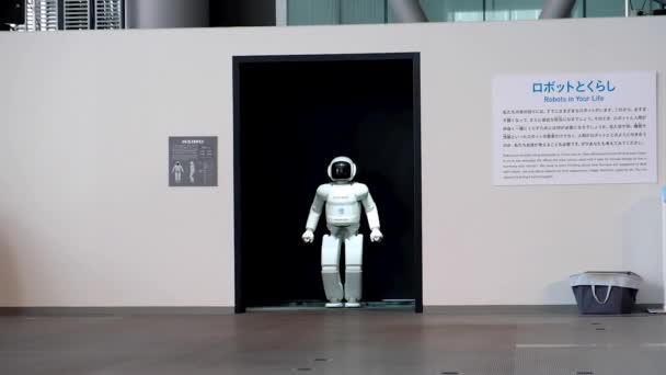 Asimo ανθρωποειδές ρομπότ από τη Honda τρέχει στο μουσείο Miraikan επίδειξη — Αρχείο Βίντεο