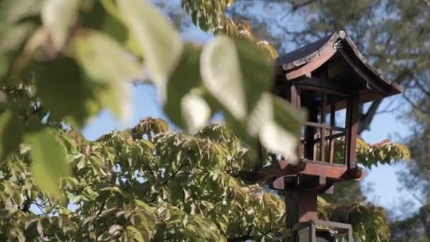 Trucking right shot of a wooden lantern in Buenos Aires Japanese Gardens — Stock Video