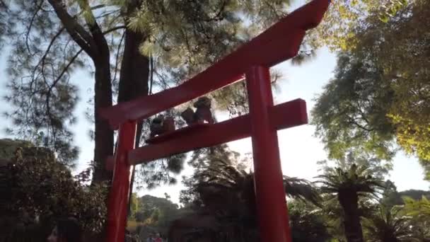 Cinematic shot of a red wooden torii at sunset in Buenos Aires Japanese Gardens — 비디오