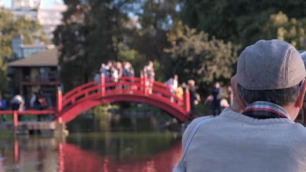 Un Japonais regardant à travers les jumelles dans les jardins japonais de Buenos Aires — Video