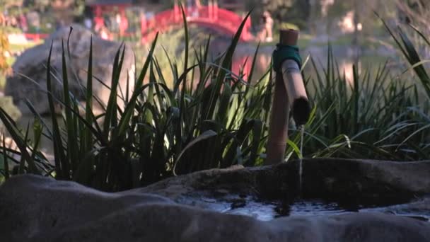 Джиб до выстрел из Бамбукового фонтана рядом с прудом в Буэнос-Айресе японские сады — стоковое видео