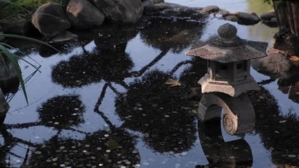 Rybník s kamennou lucernou a odrazy v Buenos Aires japonské zahrady — Stock video