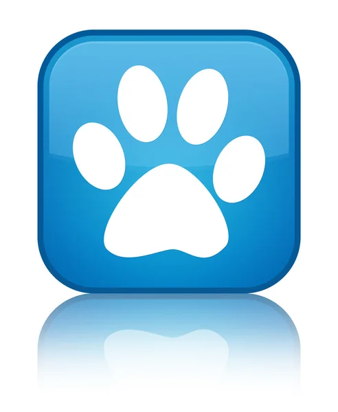 Animal footprint icon shiny cyan blue square button — Stock Photo, Image