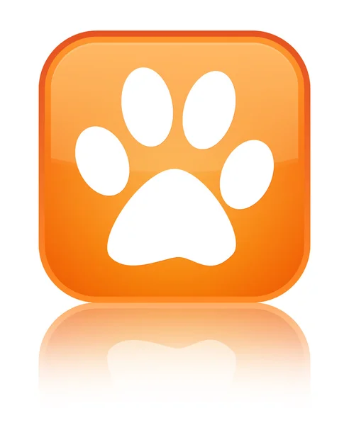 Animal footprint icon shiny orange square button — Stock Photo, Image