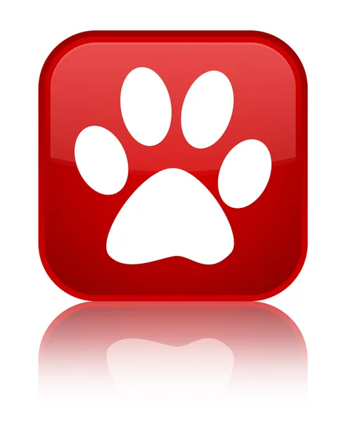 Animal footprint icon shiny red square button — Stock Photo, Image