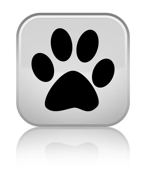 Animal footprint icon shiny white square button — Stock Photo, Image