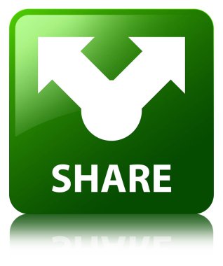 Paylaş yeşil kare düğmesi