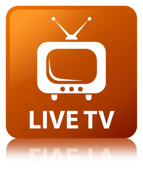 Live-TV braune quadratische Taste — Stockfoto