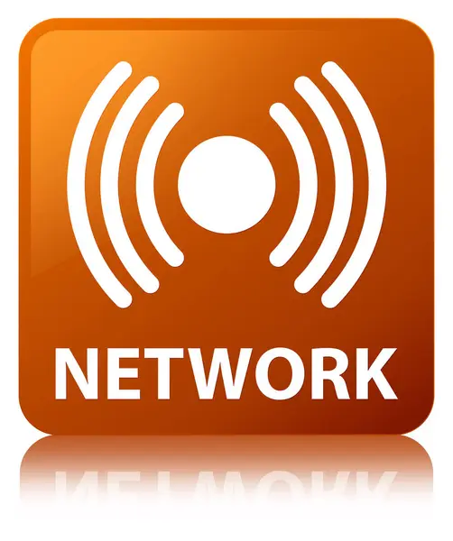 ネットワーク (信号アイコン) 茶色の正方形ボタン — ストック写真
