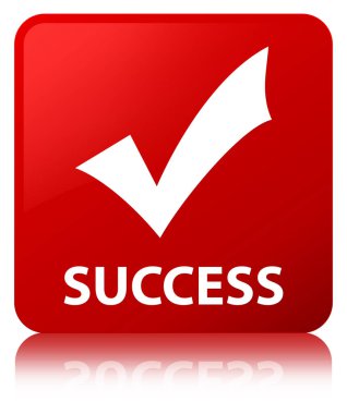 Başarı (simge doğrulama) kırmızı kare düğme