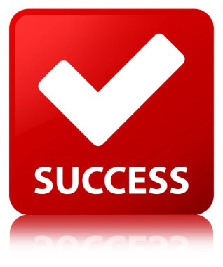 Başarı (simge doğrulama) kırmızı kare düğme