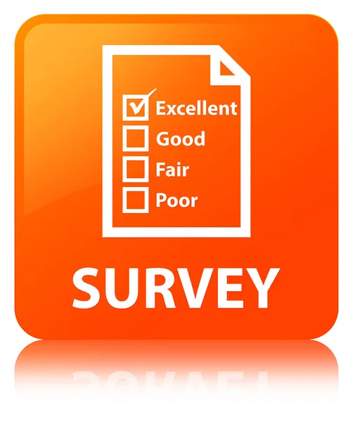 Survey (questionnaire icon) orange square button