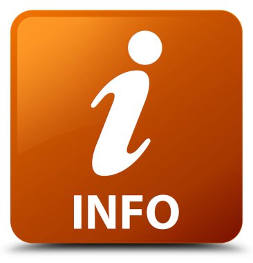 Bilgi kahverengi kare düğme