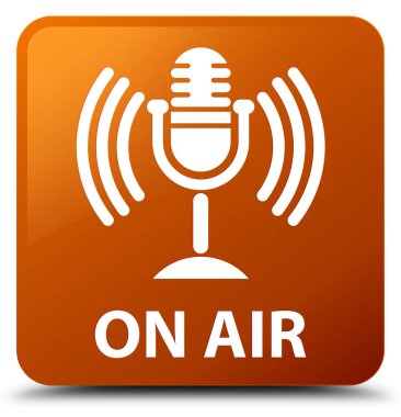 Hava (mikrofon simgesi) kahverengi kare düğmesini