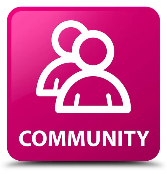 Comunidade (ícone de grupo) botão quadrado rosa — Fotografia de Stock