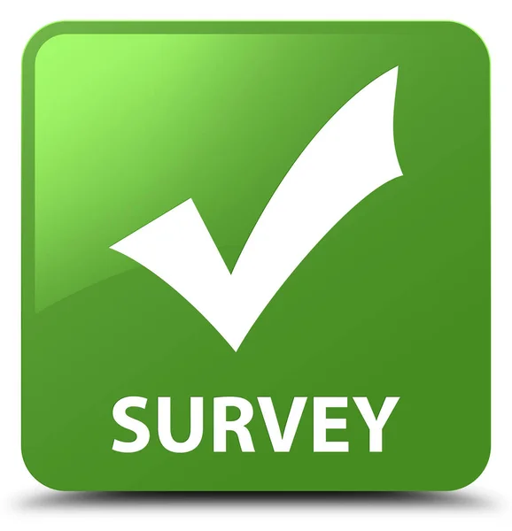 Survey (validate icon) soft green square button — Stock Photo, Image