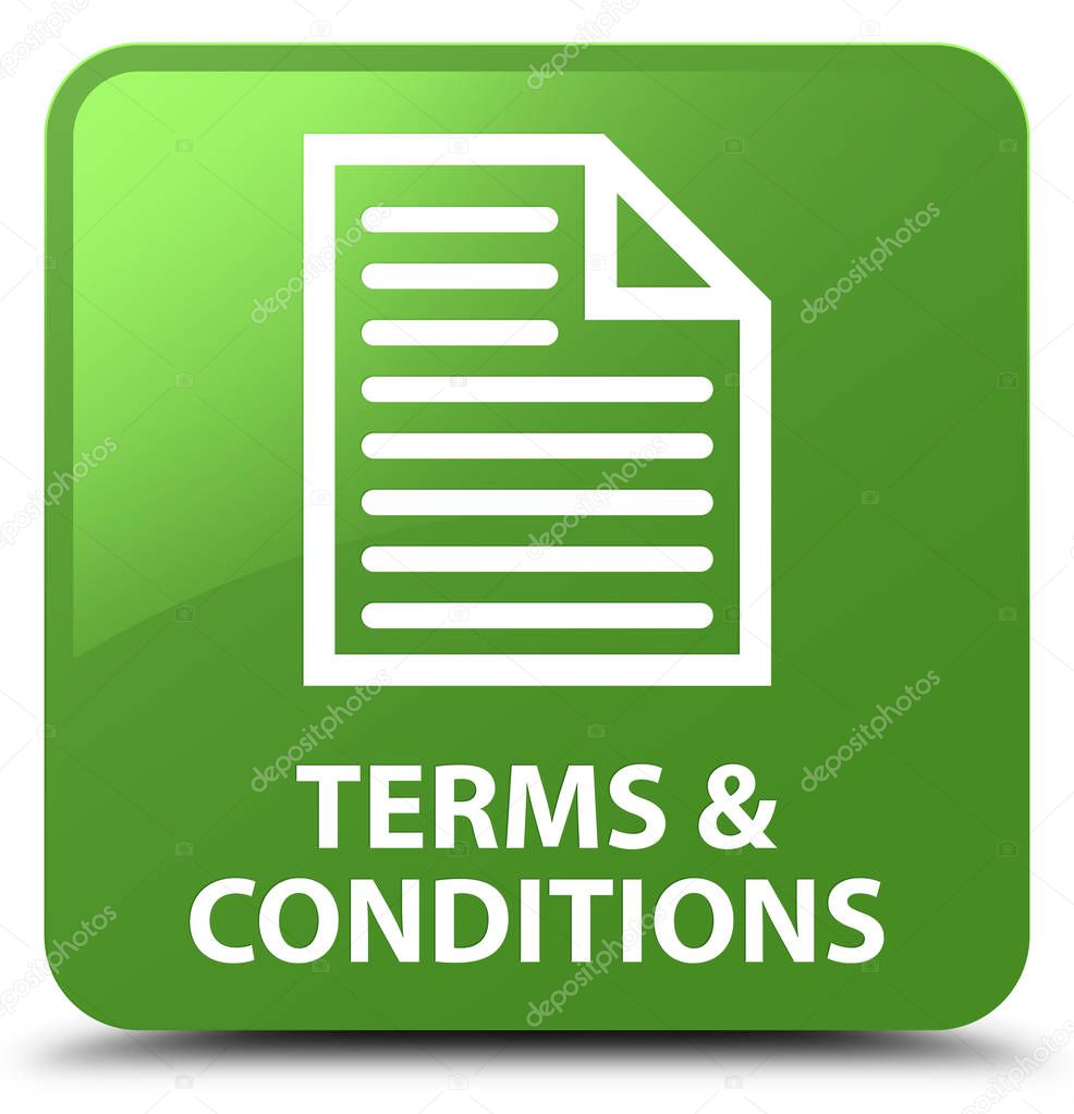 Terms and conditions (page icon) soft green square button