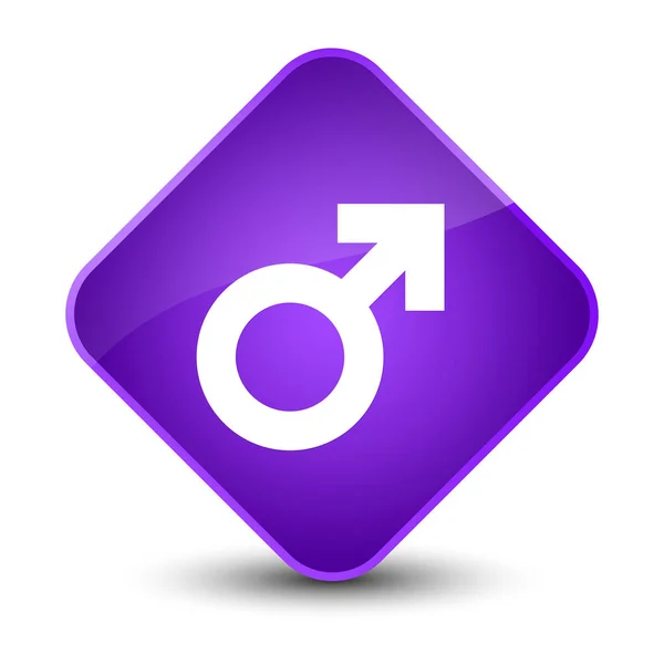 Icône signe masculin élégant bouton diamant violet — Photo