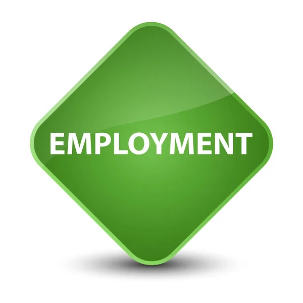 雇用のエレガントな柔らかい緑色のひし形のボタン — ストック写真