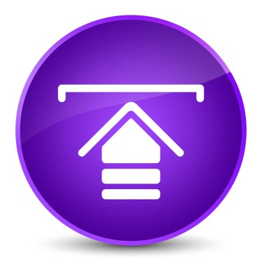 Kutsal kişilerin resmi zarif mor yuvarlak düğme upload