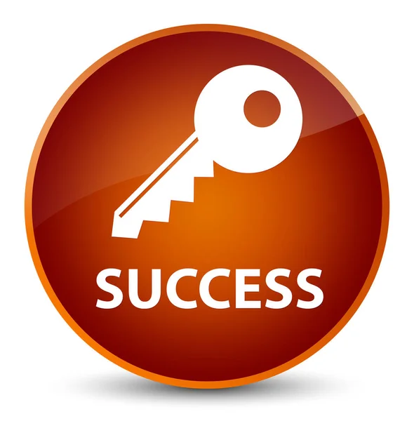 Başarı (anahtar simgesi) zarif kahverengi yuvarlak düğmesi — Stok fotoğraf
