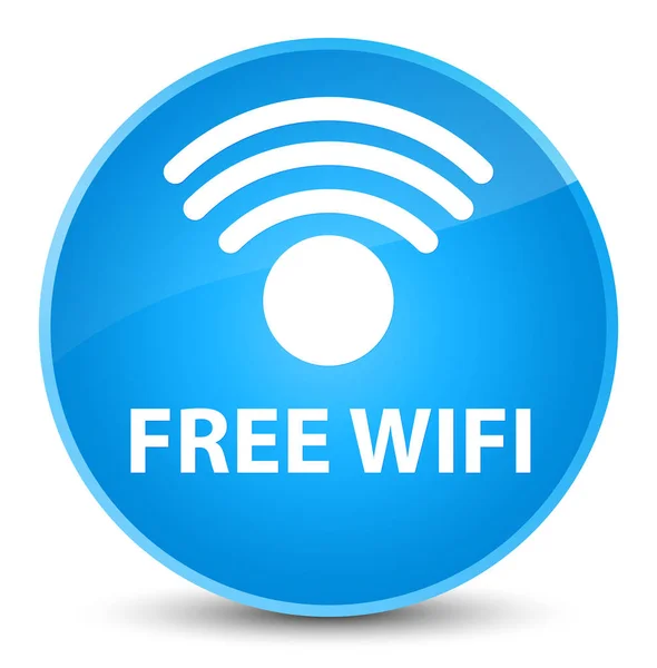 Ücretsiz Wi-Fi zarif camgöbeği mavi yuvarlak düğmesi — Stok fotoğraf