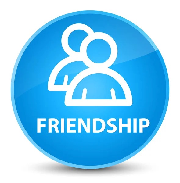 Amizade (ícone de grupo) botão redondo azul ciano elegante — Fotografia de Stock