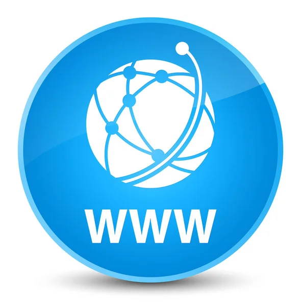 WWW (global network icon) elegant cyan blue round button — Stock Photo, Image