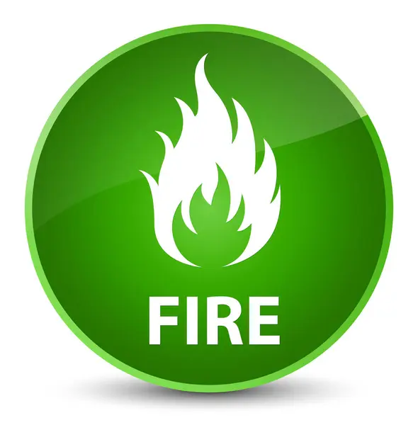 Ogień elegancki zielony okrągły przycisk — Zdjęcie stockowe