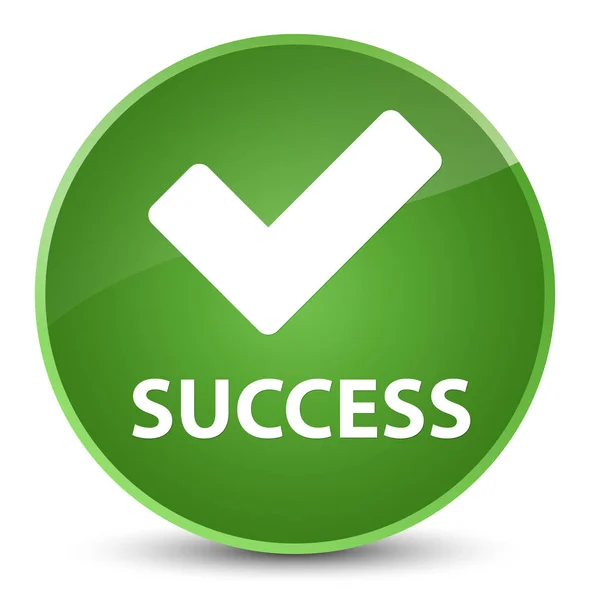 Success (validate icon) elegant soft green round button — Stock Photo, Image