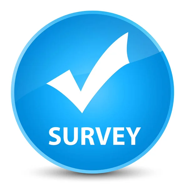 Survey (validate icon) elegant cyan blue round button — Stock Photo, Image