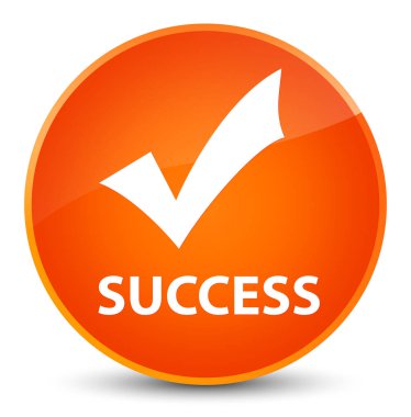 Başarı (simge doğrulama) zarif turuncu yuvarlak düğmesi