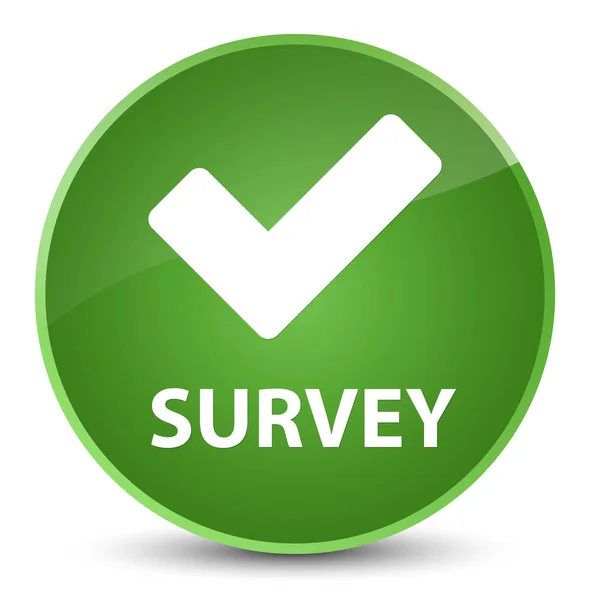 Survey (validate icon) elegant soft green round button — Stock Photo, Image