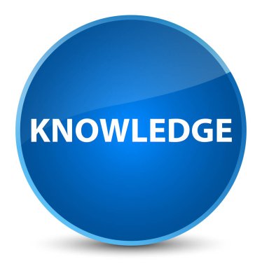 Bilgi zarif mavi yuvarlak düğmesi