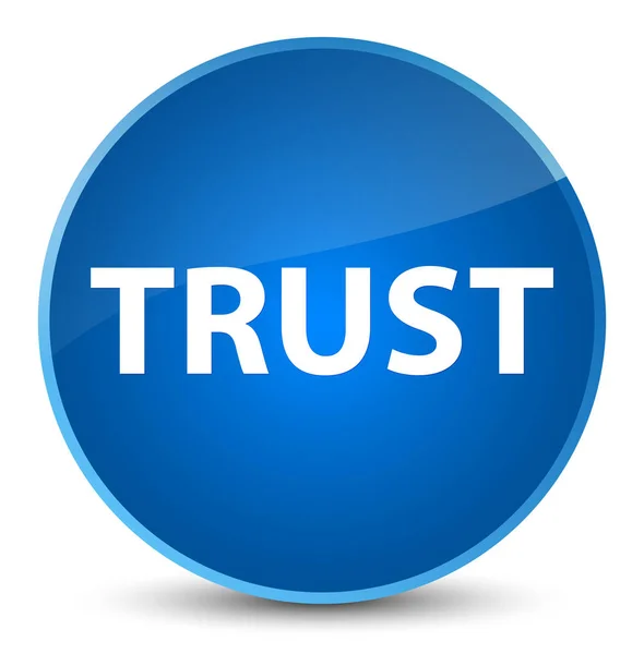 Trust elegant blue round button — Stock Photo, Image