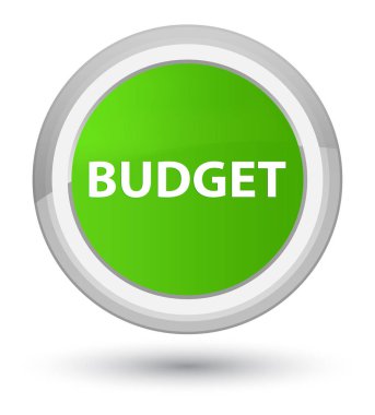 Bütçe ana yumuşak yeşil yuvarlak düğmesi