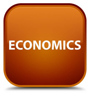 Ekonomi özel kahverengi kare düğme