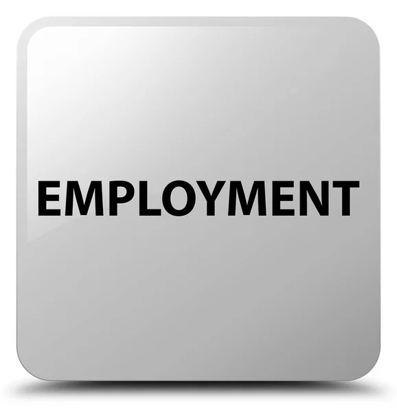 Employment white square button — Stock Photo, Image