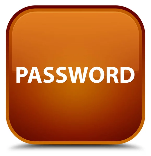 Lösenord speciella bruna fyrkantiga knappen — Stockfoto