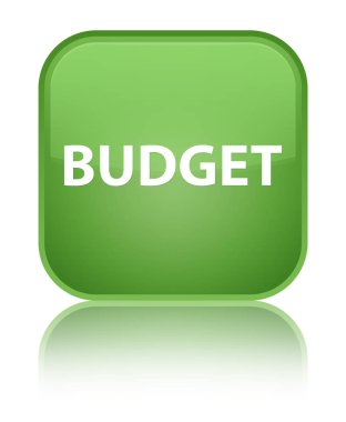 Bütçe özel yumuşak yeşil kare düğme