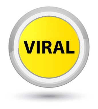 Viral Başbakan düğmenin sarı