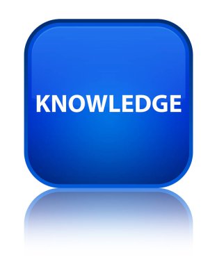 Bilgi özel mavi kare düğme