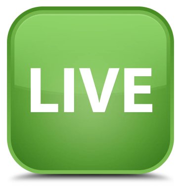 Canlı özel yumuşak yeşil kare düğme